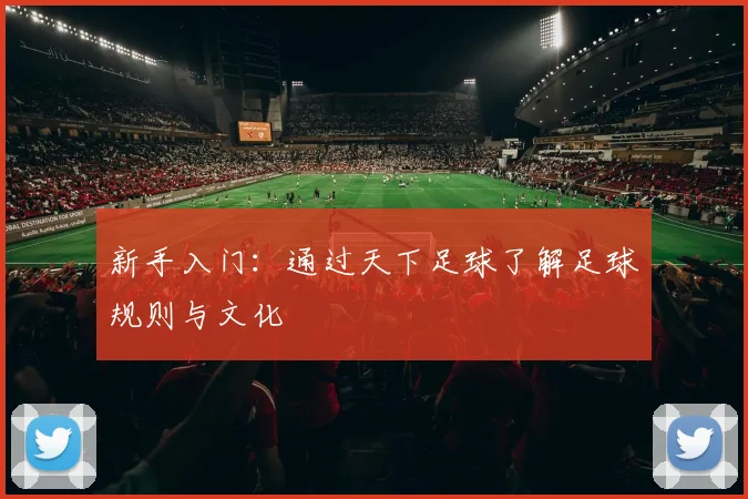 新手入门：通过天下足球了解足球规则与文化