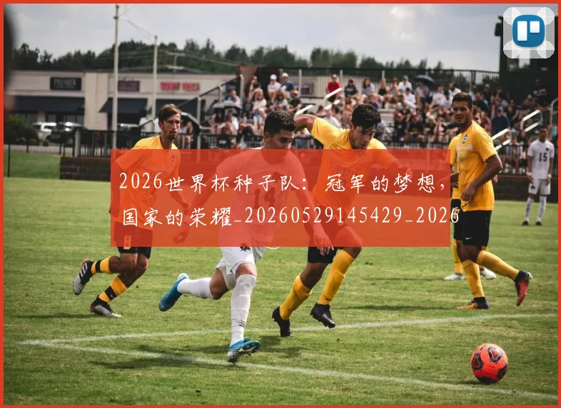 2026世界杯种子队：冠军的梦想，国家的荣耀_20260529145429_20260702033702